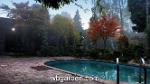 wbgarden japanese maples 35