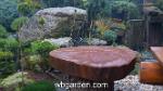 wbgarden japanese maples 40