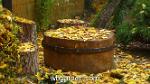 wbgarden stool