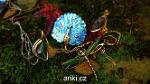 wbgarden ariki 5