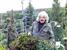 Dwarf conifers