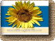 Pozitivn� noviny