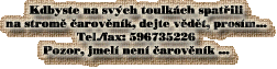 Zakrsl� konifery