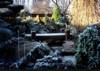 Dwarf conifers gardens  witch´s brooms - wbgarden.com