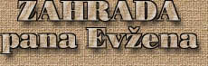Zakrsl� konifery - �arov�n�ky - zahrada - wbgarden.com